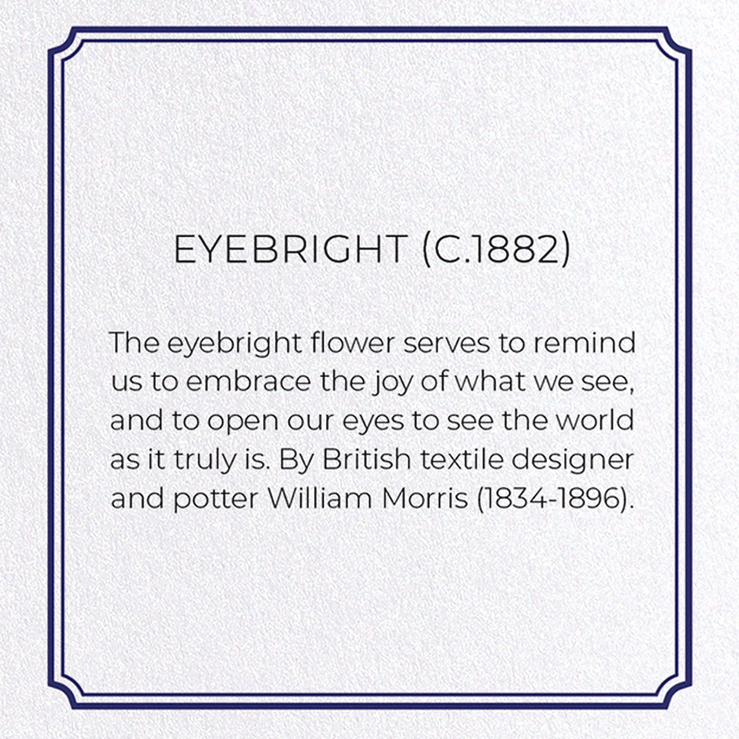 EYEBRIGHT (C.1882): Pattern Greeting Card