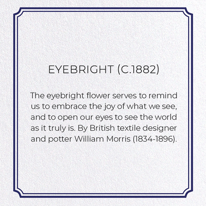 EYEBRIGHT (C.1882): Pattern Greeting Card