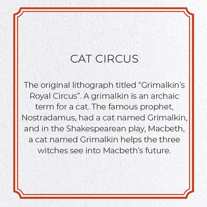 CAT CIRCUS: Painting Greeting Card