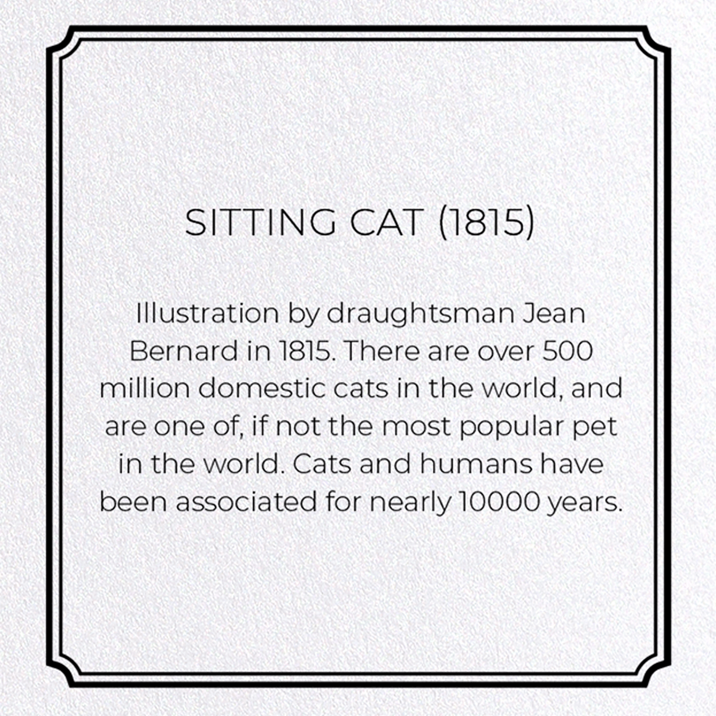 SITTING CAT (1815): Painting Greeting Card