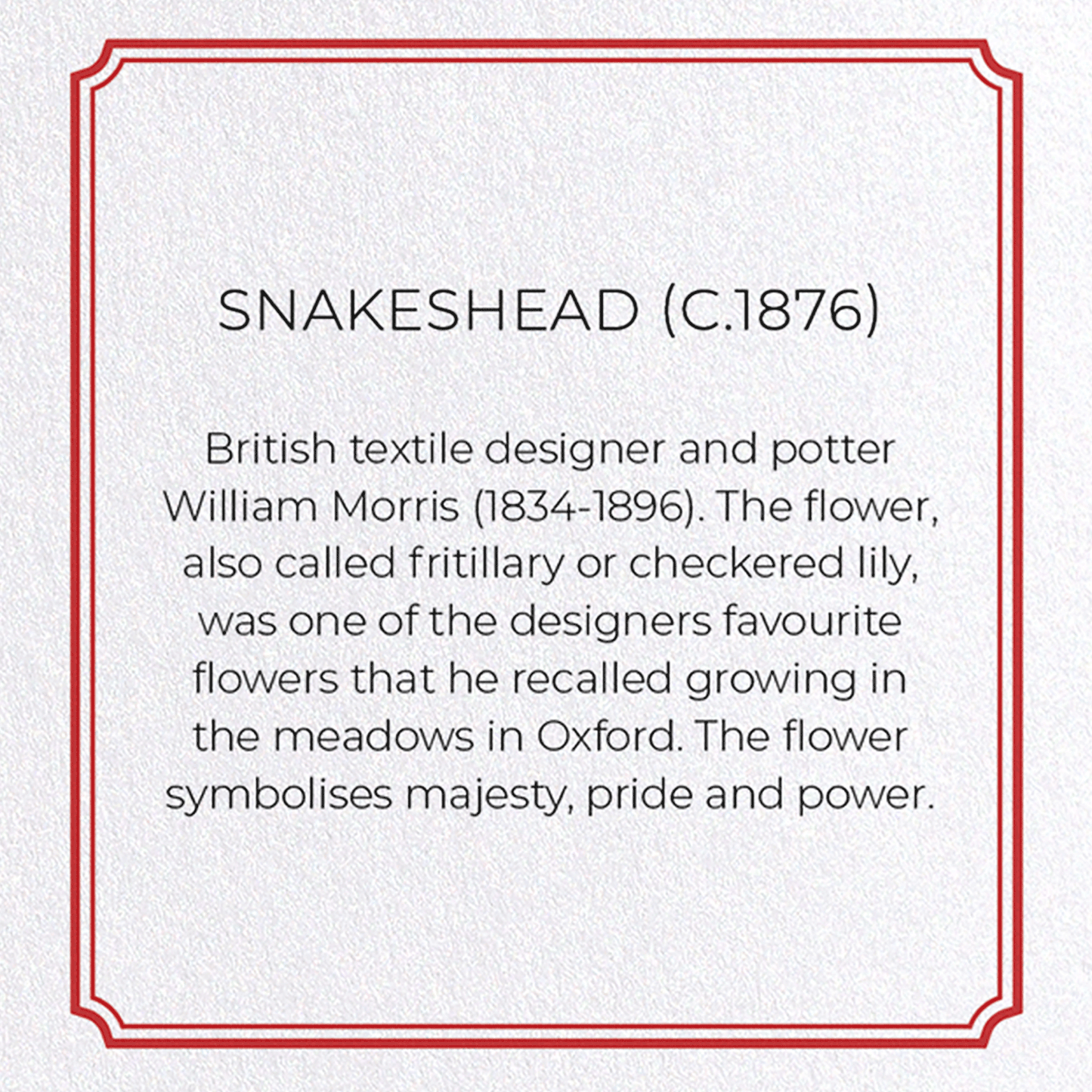 SNAKESHEAD (C.1876): Pattern Greeting Card