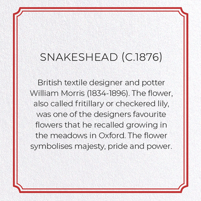SNAKESHEAD (C.1876): Pattern Greeting Card