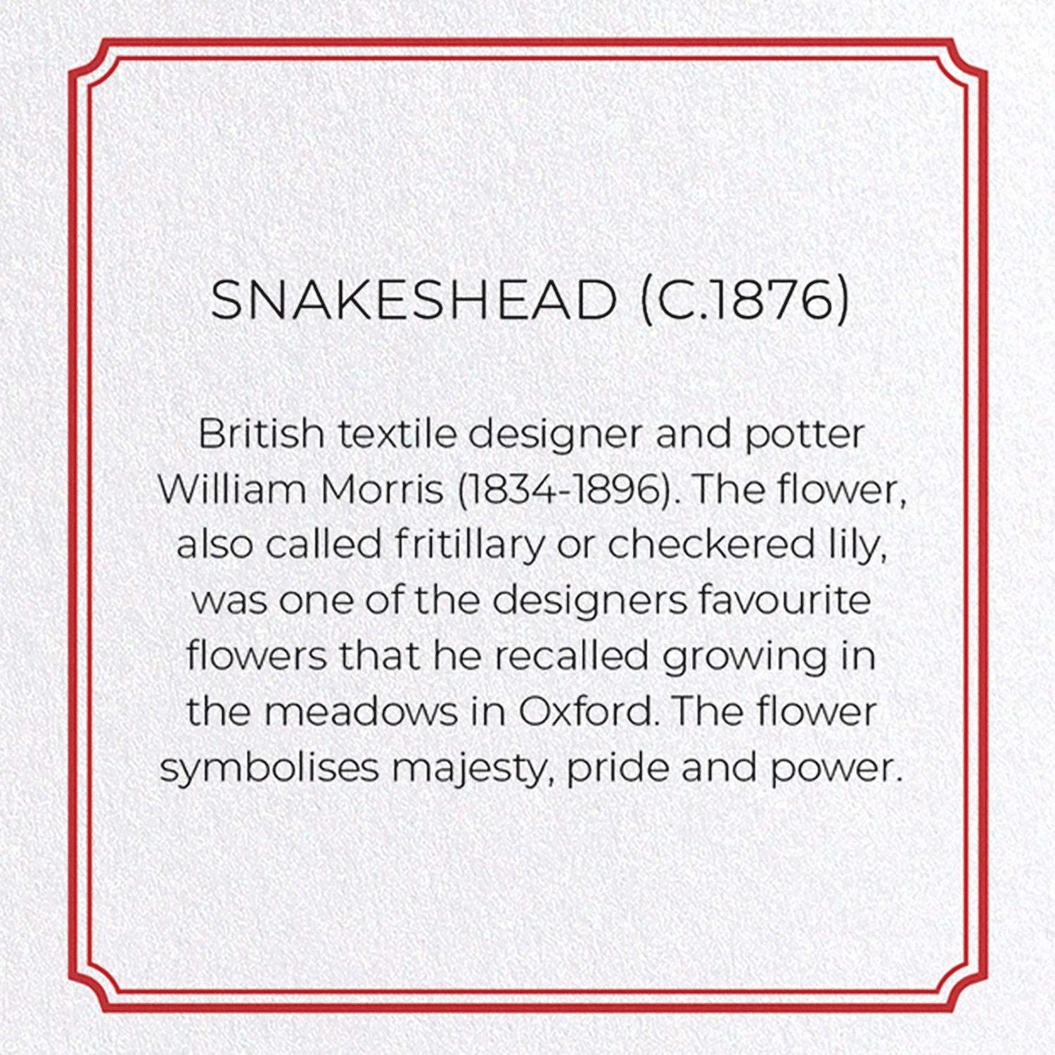 SNAKESHEAD (C.1876): Pattern Greeting Card