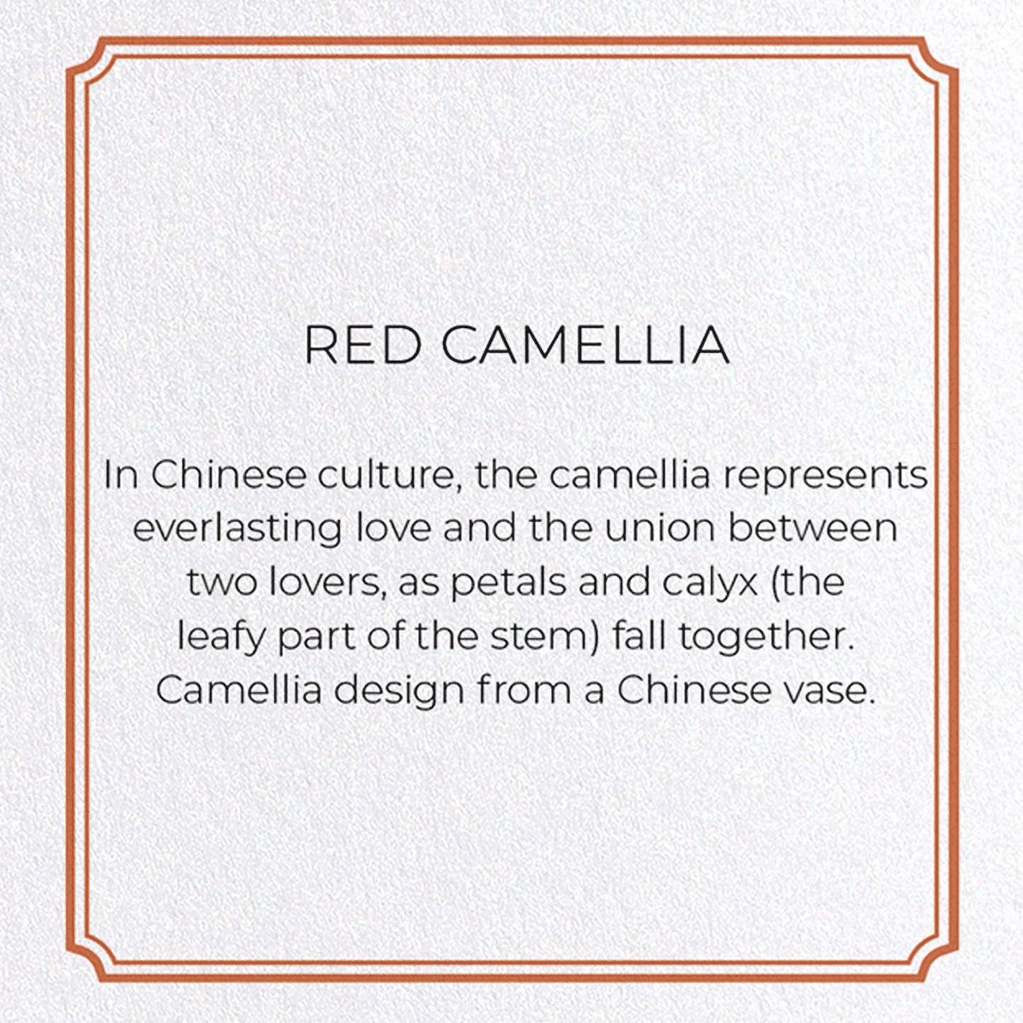 RED CAMELLIA : Pattern Greeting Card