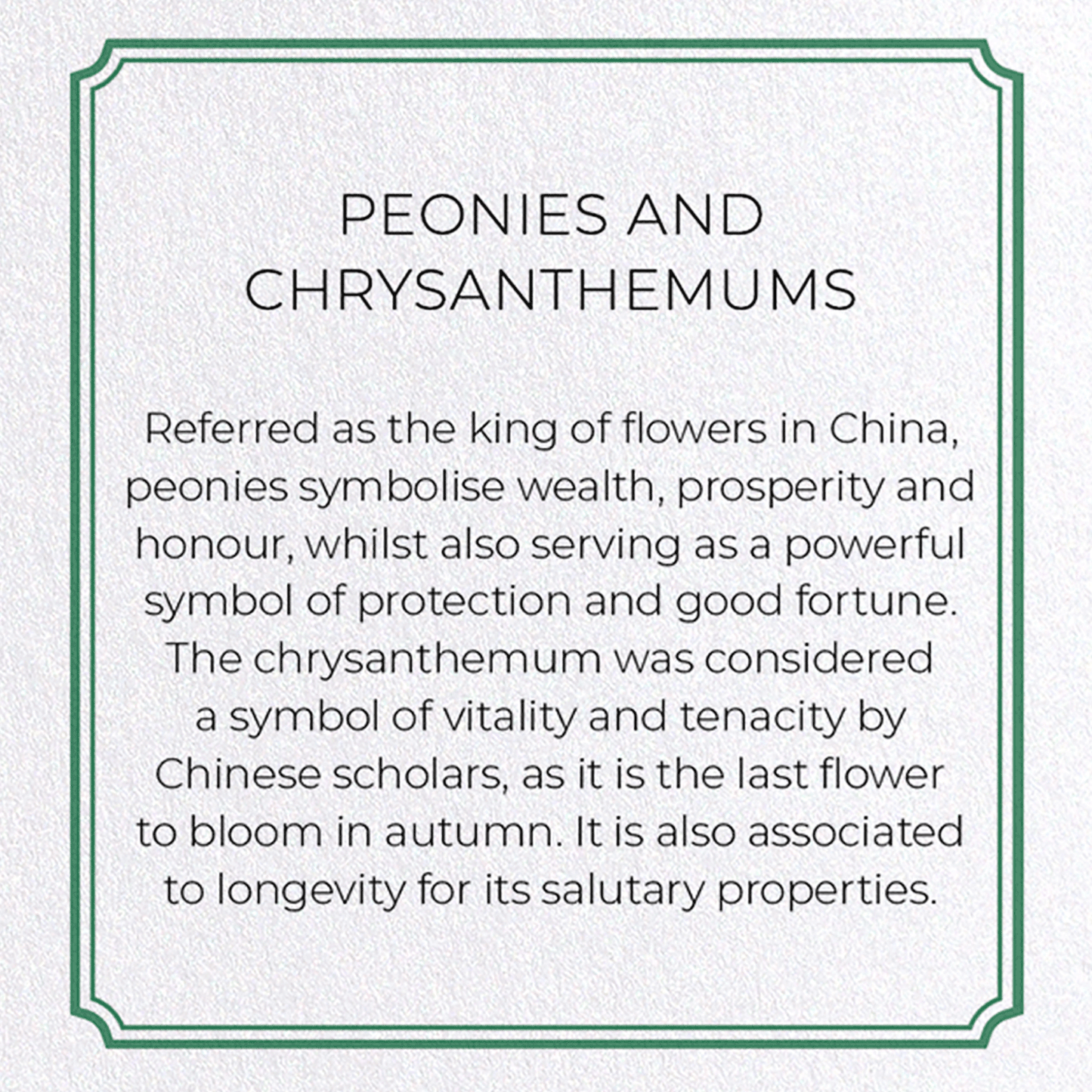 PEONIES AND CHRYSANTHEMUMS : Pattern Greeting Card