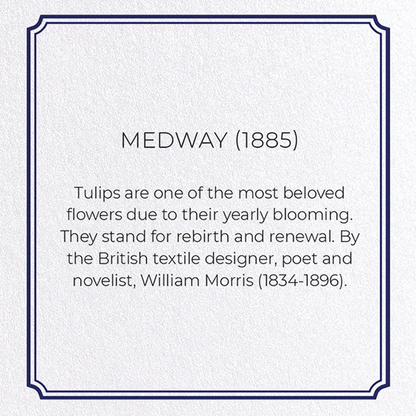 MEDWAY (1885): Pattern Greeting Card