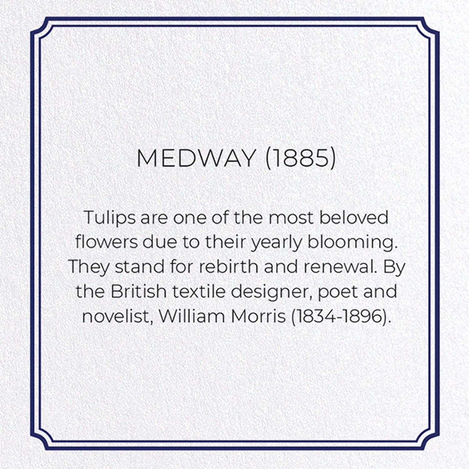 MEDWAY (1885): Pattern Greeting Card