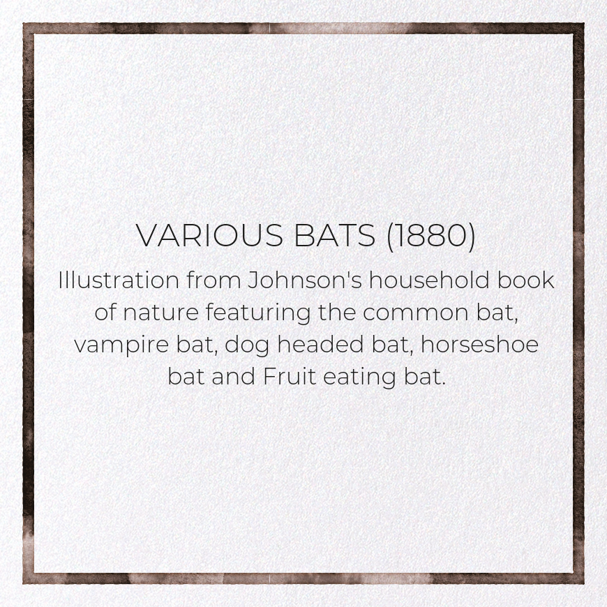 VARIOUS BATS (1880): Painting Greeting Card