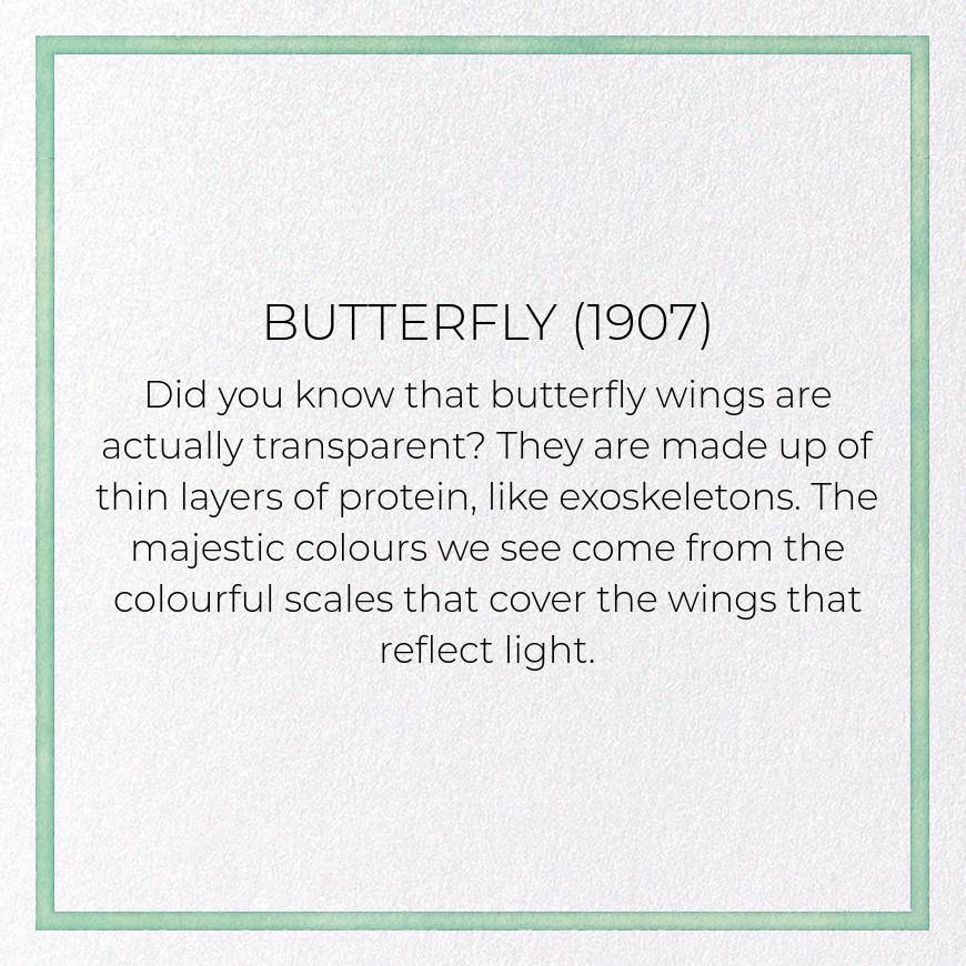 BUTTERFLY (1907): Painting Greeting Card