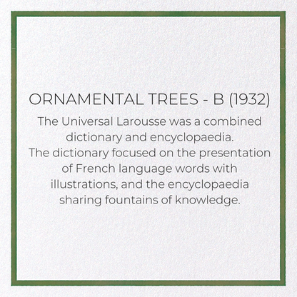 ORNAMENTAL TREES - B (1932): Painting Greeting Card