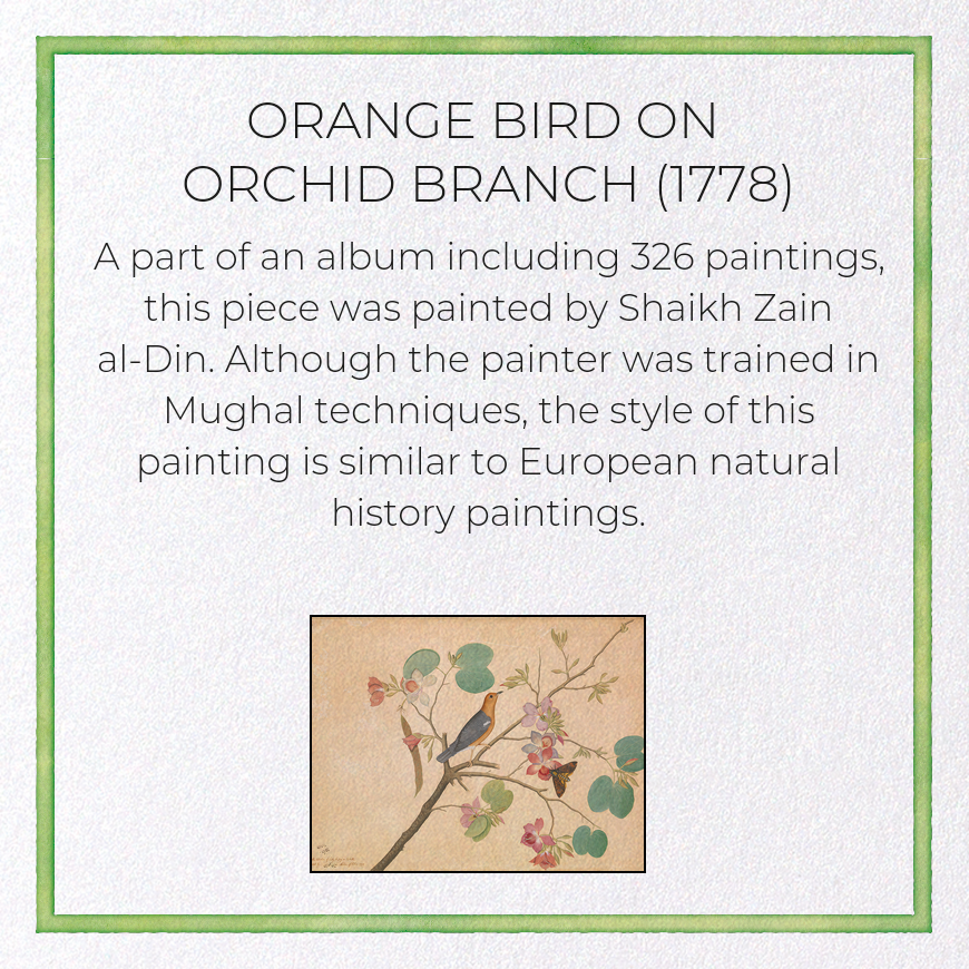 ORANGE BIRD ON ORCHID BRANCH (1778): Painting Greeting Card