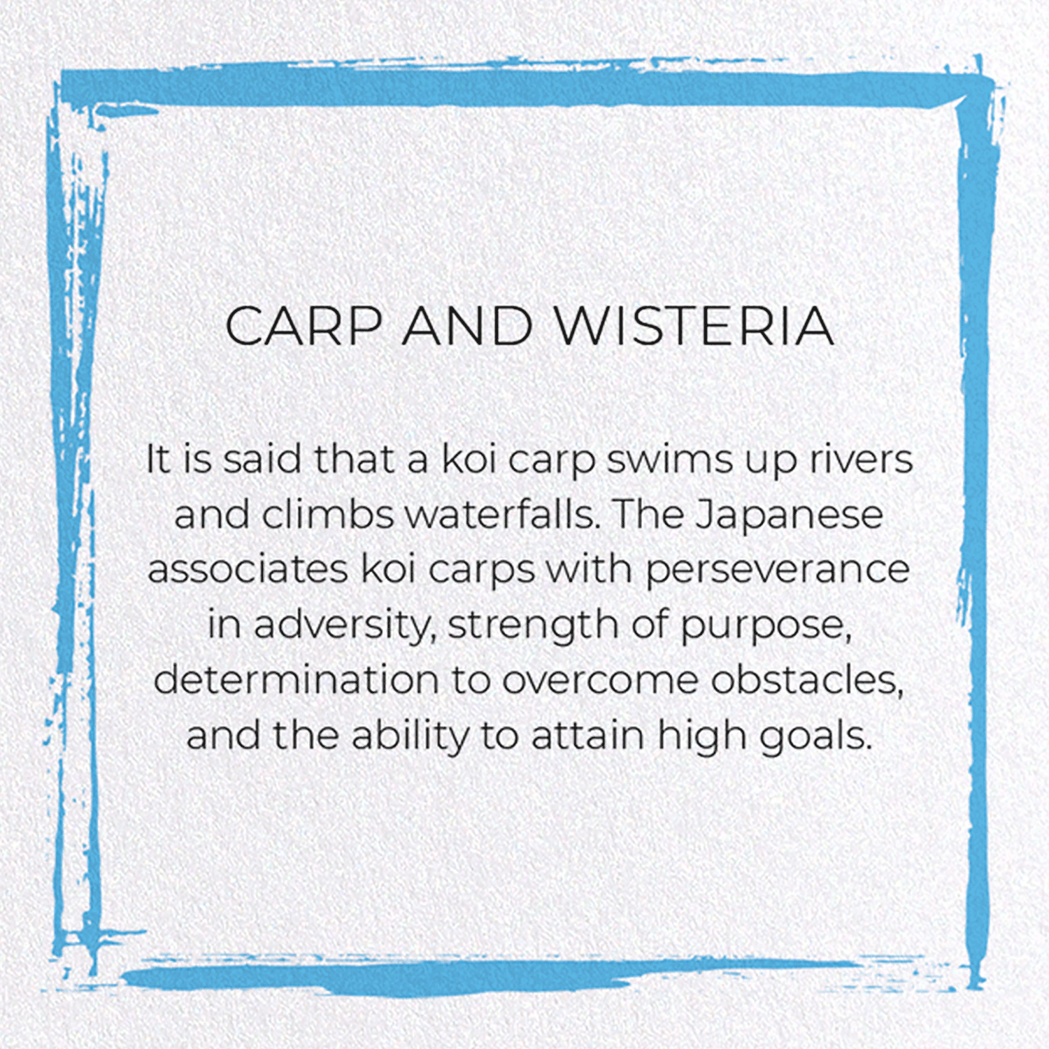 CARP AND WISTERIA: Japanese Greeting Card