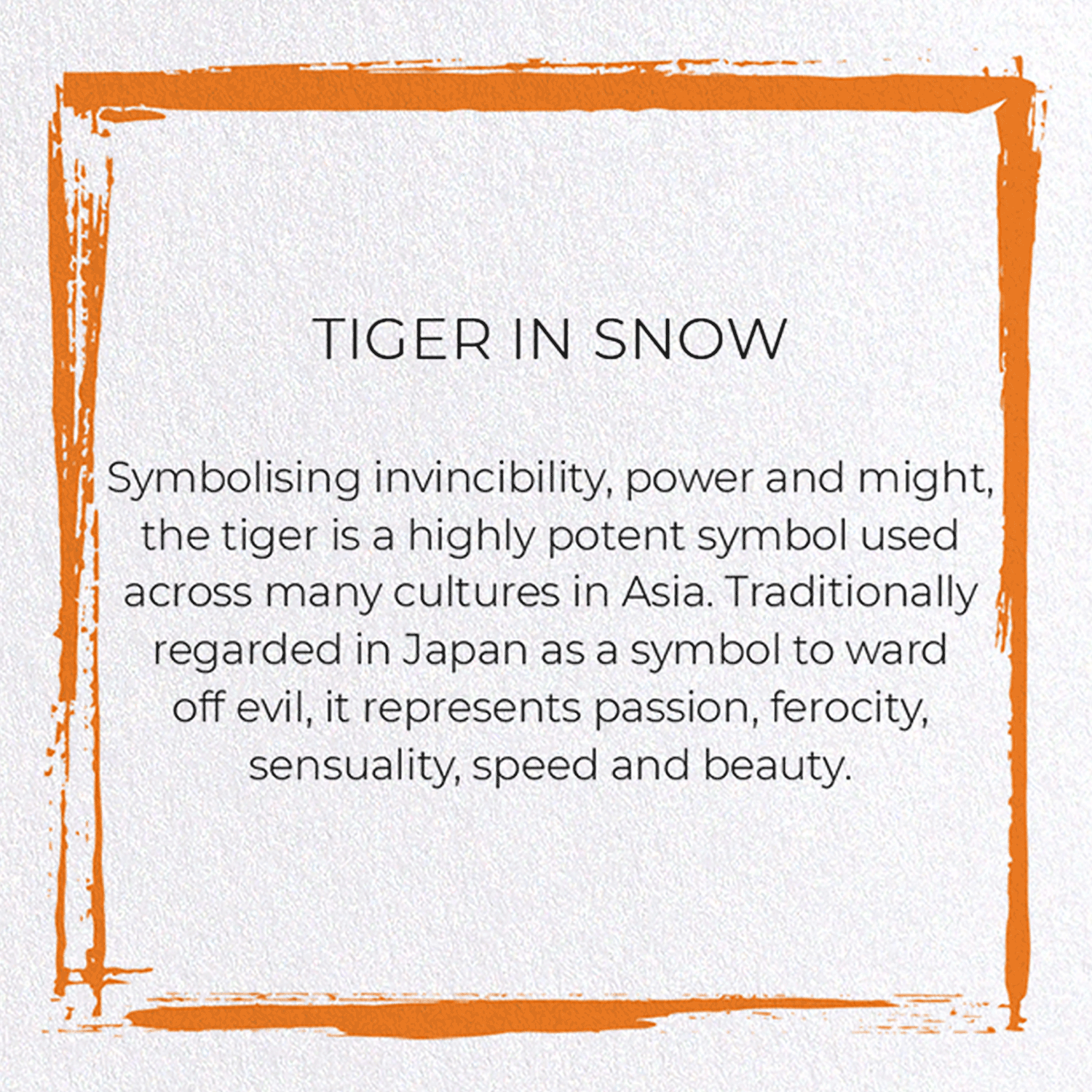 TIGER IN SNOW: Japanese Greeting Card