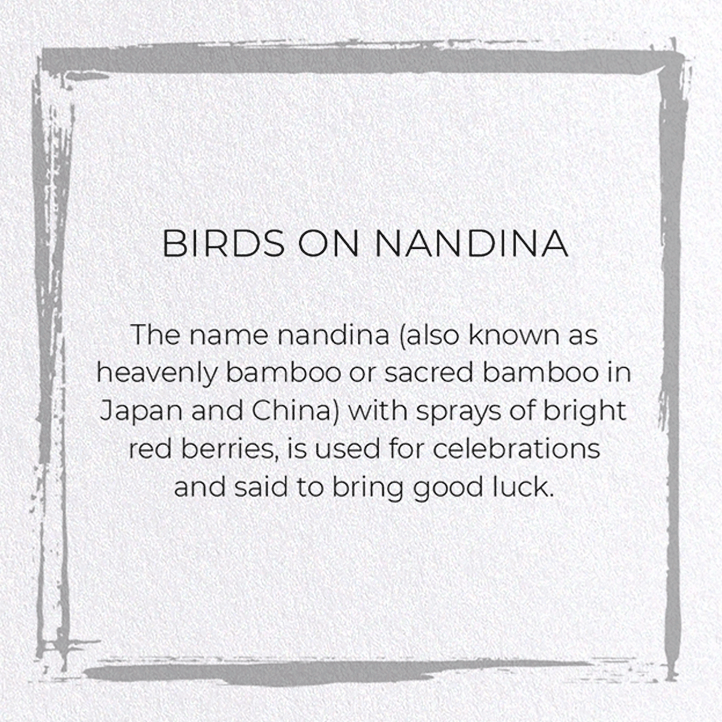 BIRDS ON NANDINA: Japanese Greeting Card