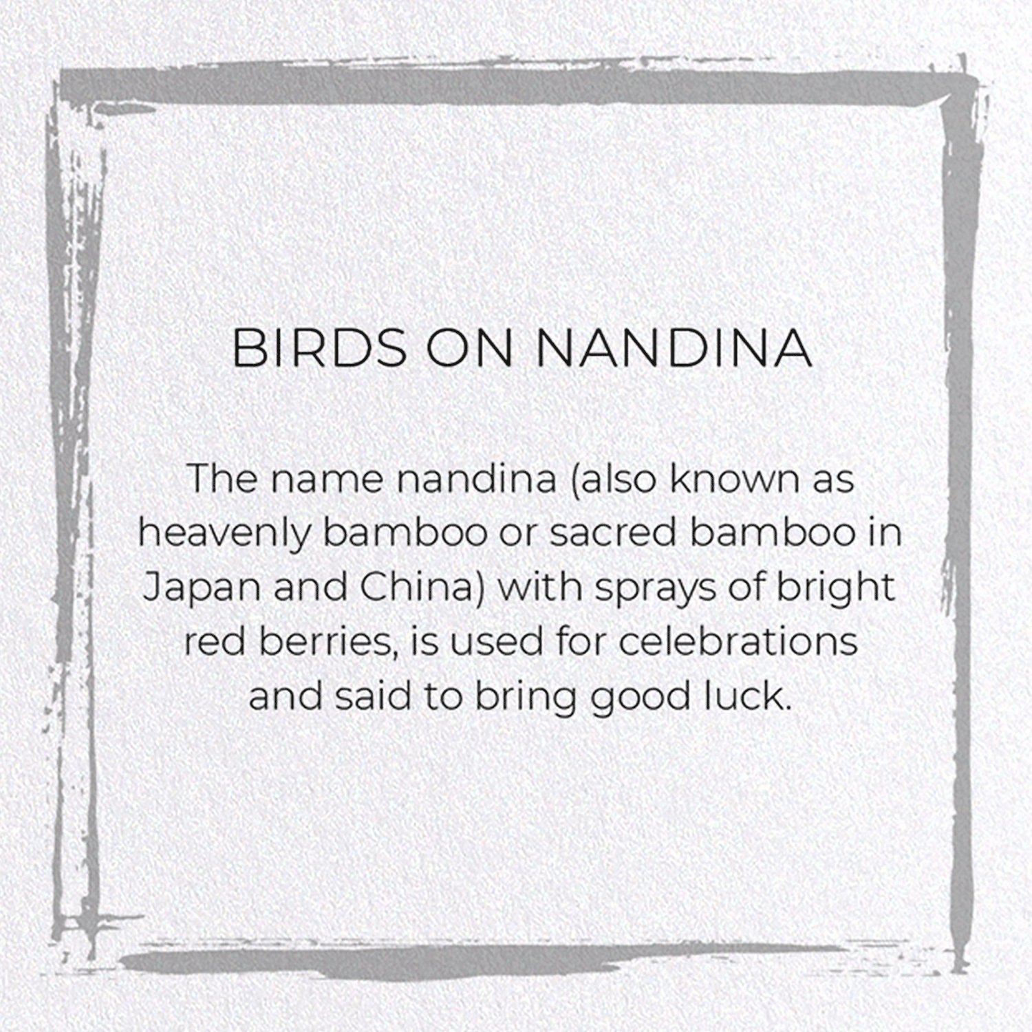 BIRDS ON NANDINA: Japanese Greeting Card