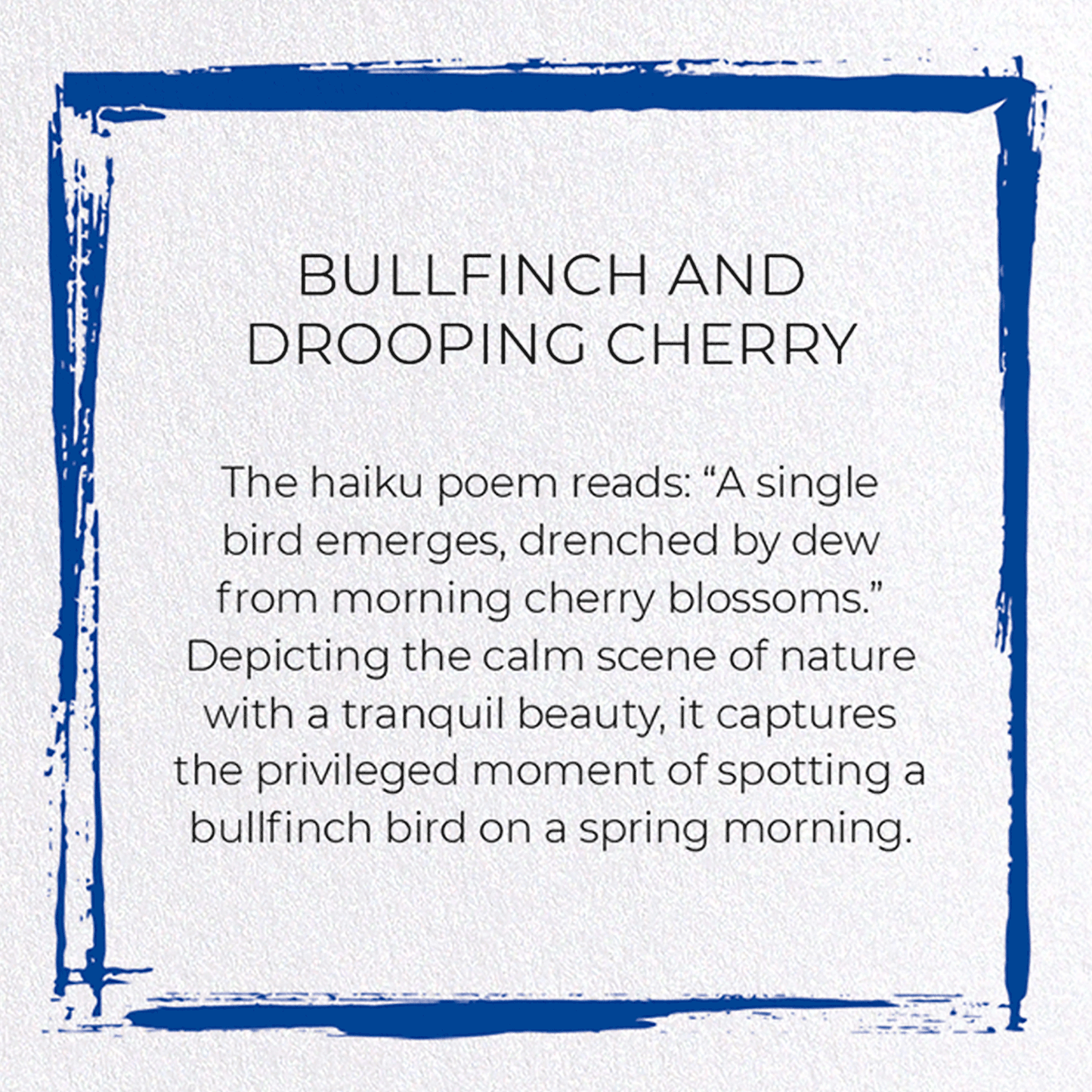 BULLFINCH AND DROOPING CHERRY: Japanese Greeting Card