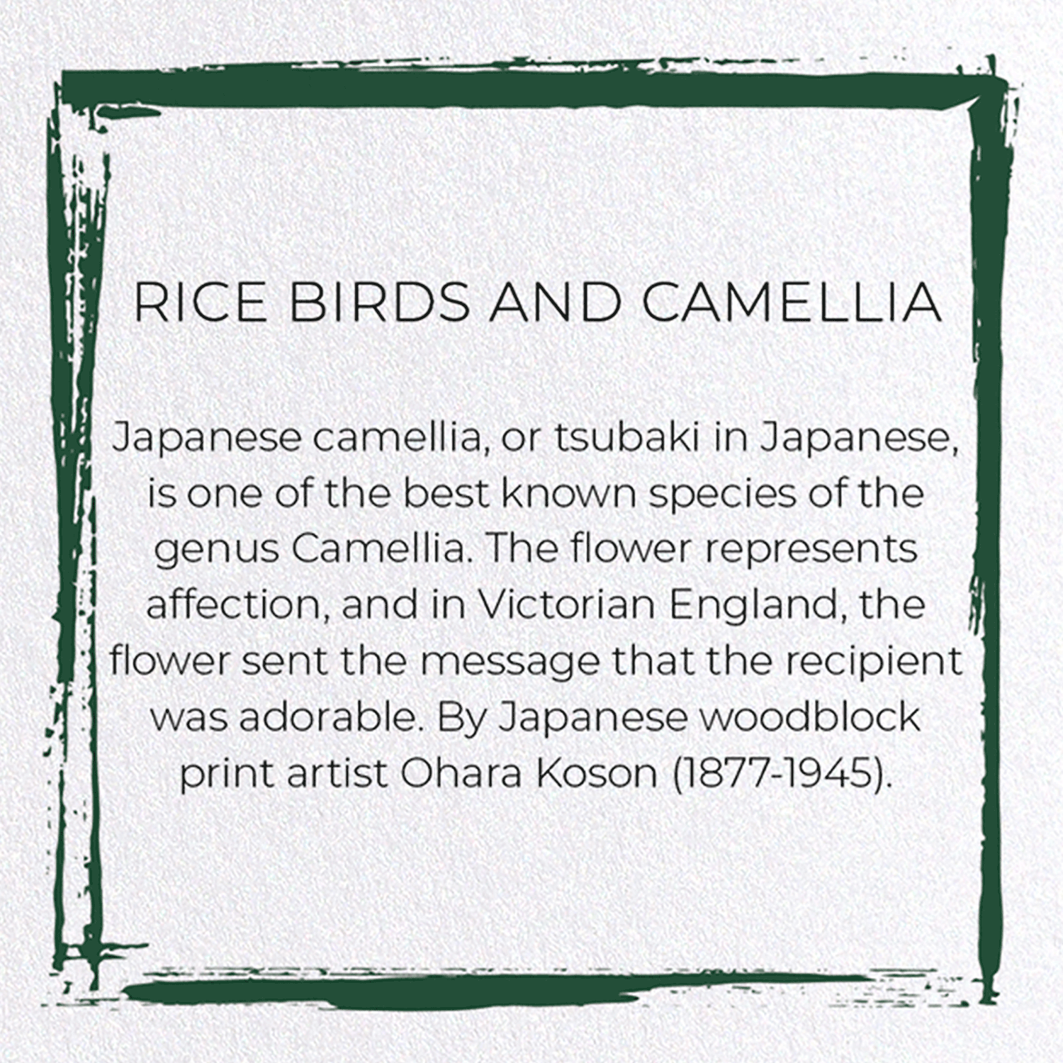 RICE BIRDS AND CAMELLIA: Japanese Greeting Card