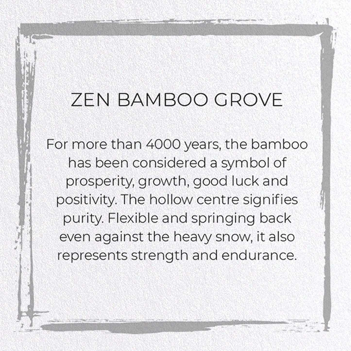 ZEN BAMBOO GROVE: Japanese Greeting Card