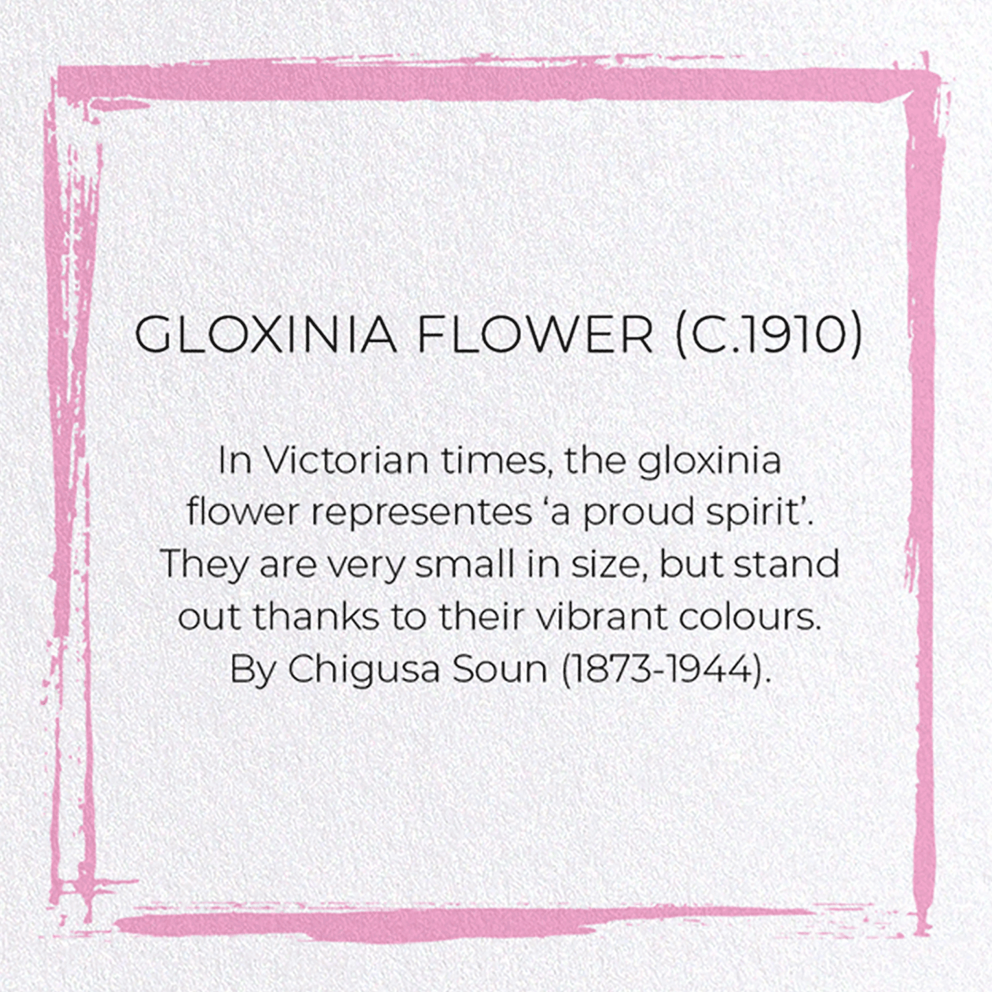 GLOXINIA FLOWER (C.1910): Japanese Greeting Card