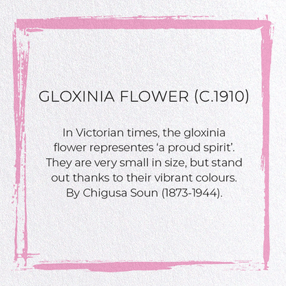 GLOXINIA FLOWER (C.1910): Japanese Greeting Card