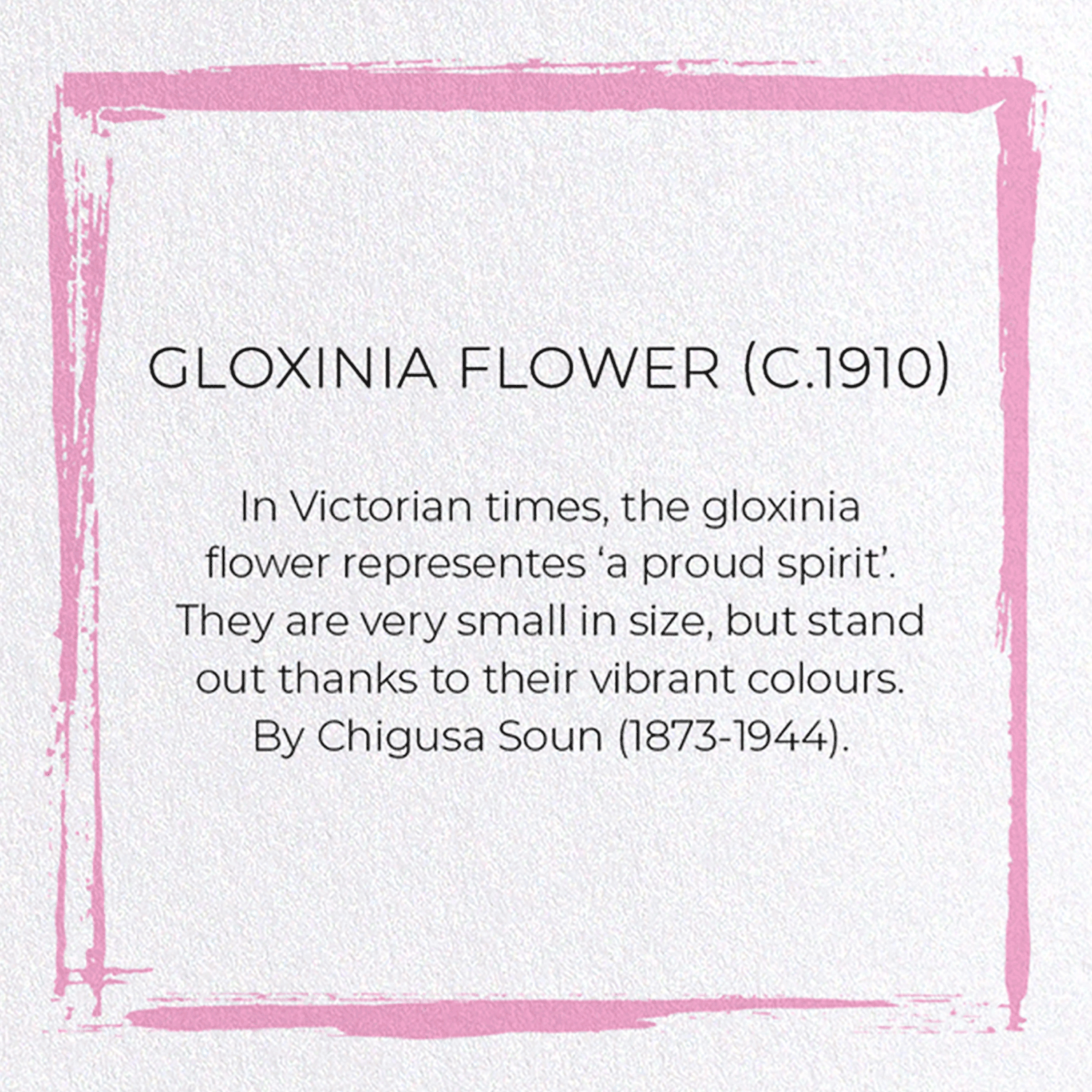 GLOXINIA FLOWER (C.1910): Japanese Greeting Card
