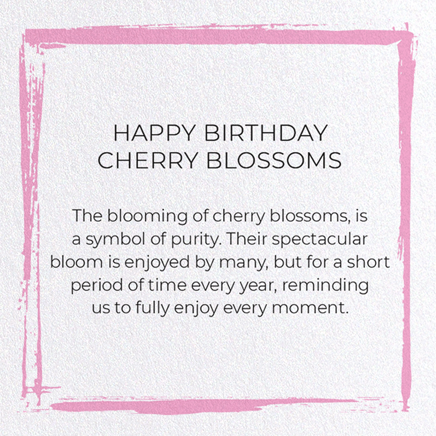 HAPPY BIRTHDAY CHERRY BLOSSOMS: Japanese Greeting Card