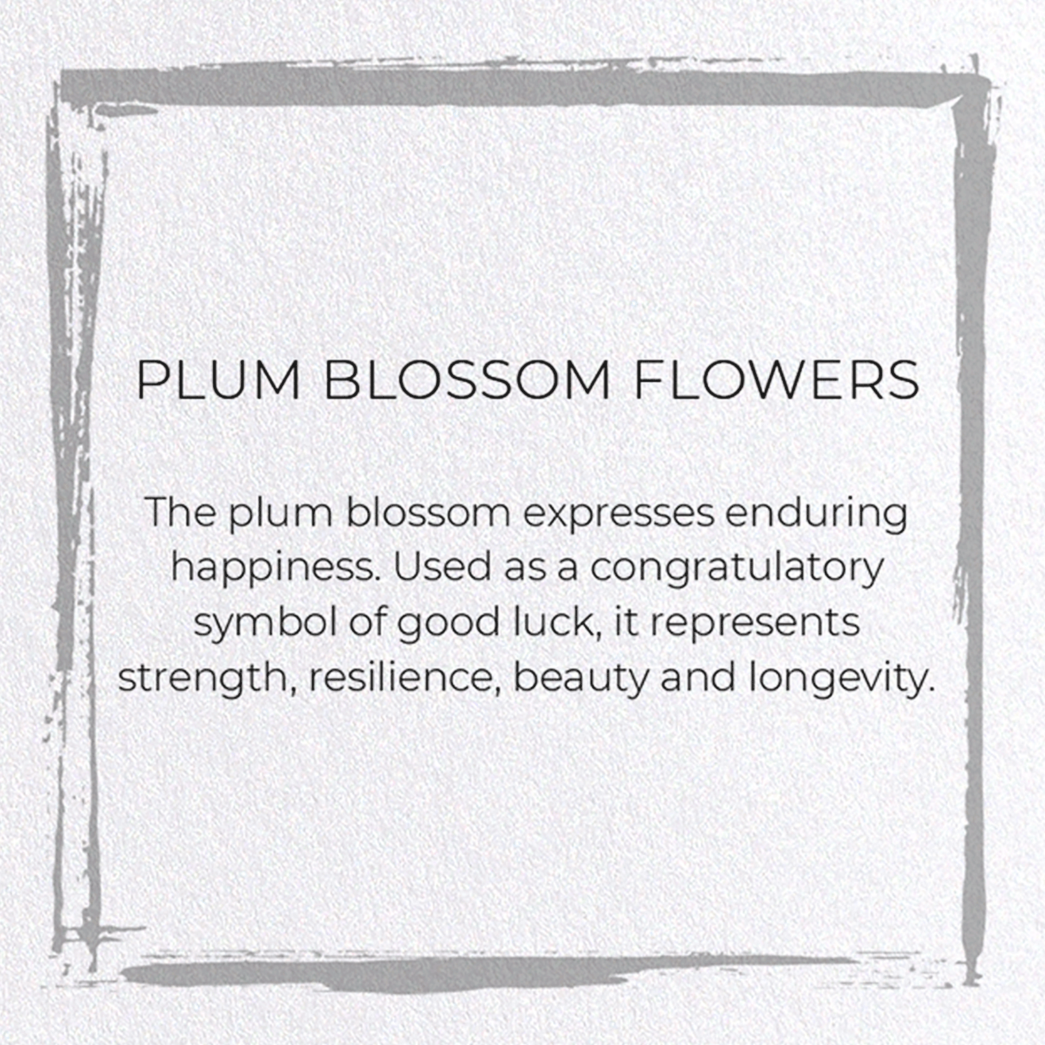 PLUM BLOSSOM FLOWERS: Japanese Greeting Card