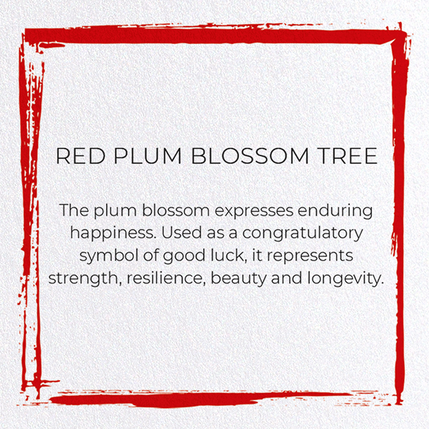 RED PLUM BLOSSOM TREE: Japanese Greeting Card