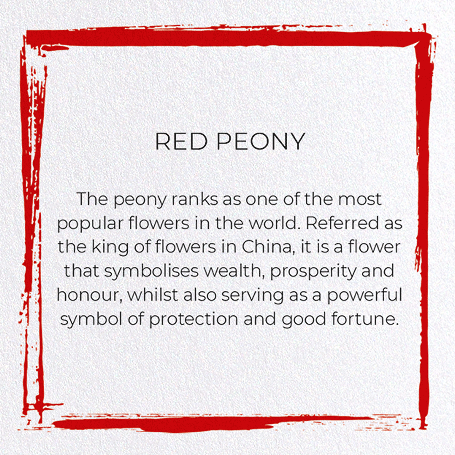 RED PEONY: Japanese Greeting Card