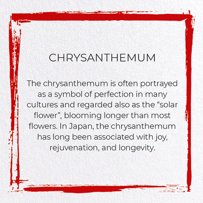CHRYSANTHEMUM: Japanese Greeting Card