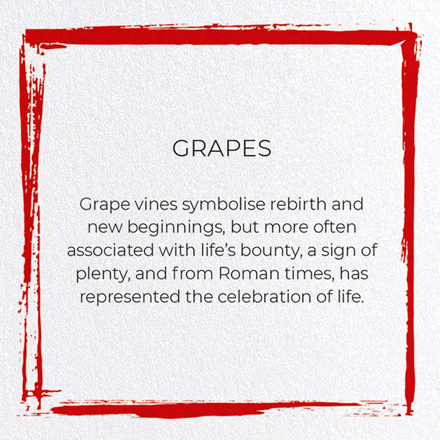 GRAPES: Japanese Greeting Card