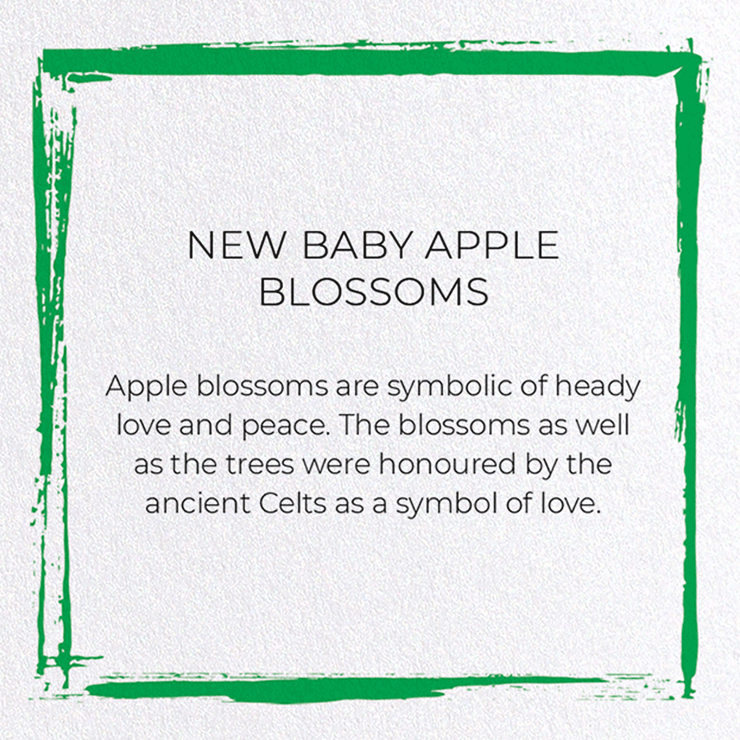 NEW BABY APPLE BLOSSOMS: Japanese Greeting Card