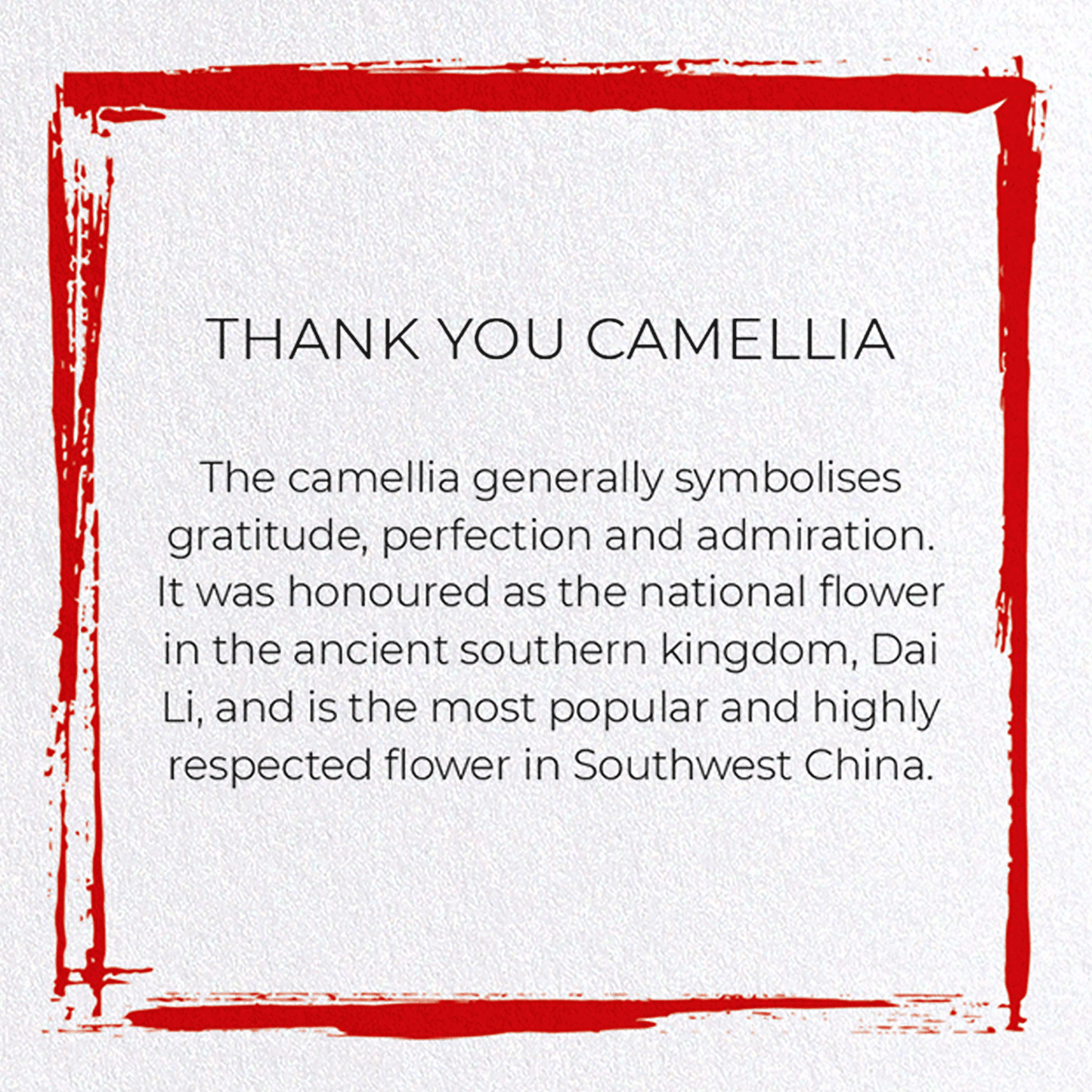 THANK YOU CAMELLIA: Japanese Greeting Card