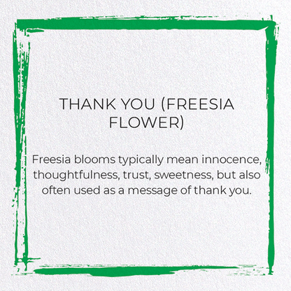 THANK YOU (FREESIA FLOWER): Japanese Greeting Card