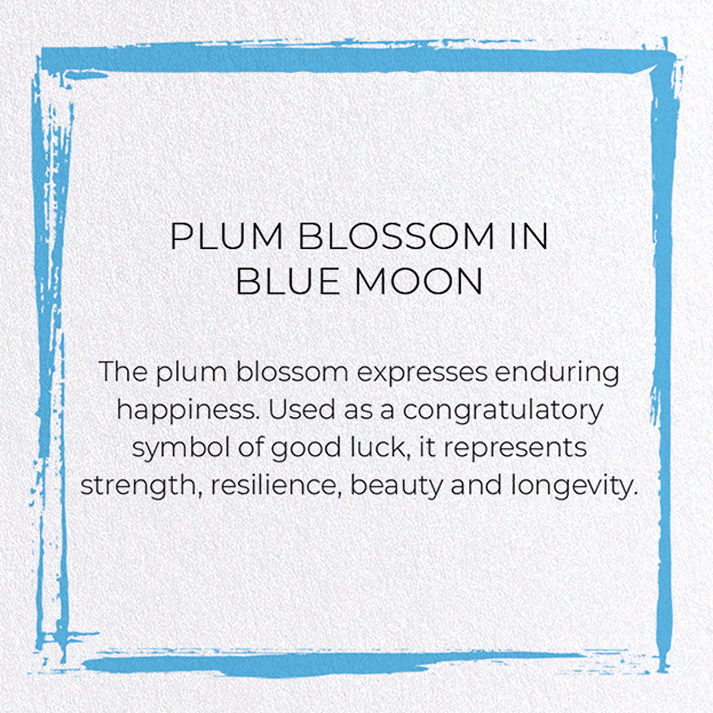 PLUM BLOSSOM IN BLUE MOON: Japanese Greeting Card