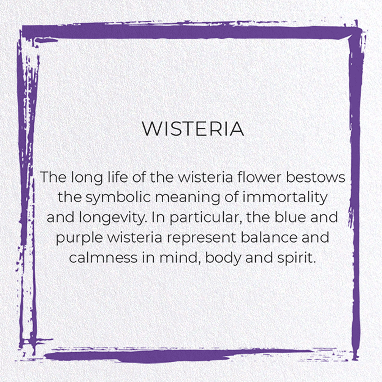WISTERIA: Japanese Greeting Card