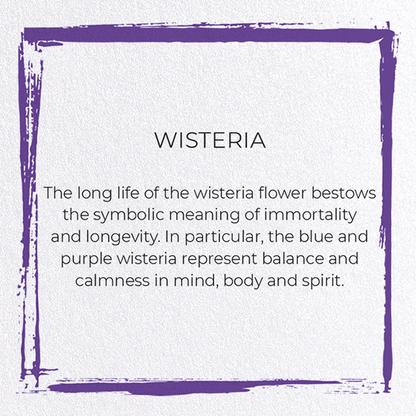 WISTERIA: Japanese Greeting Card