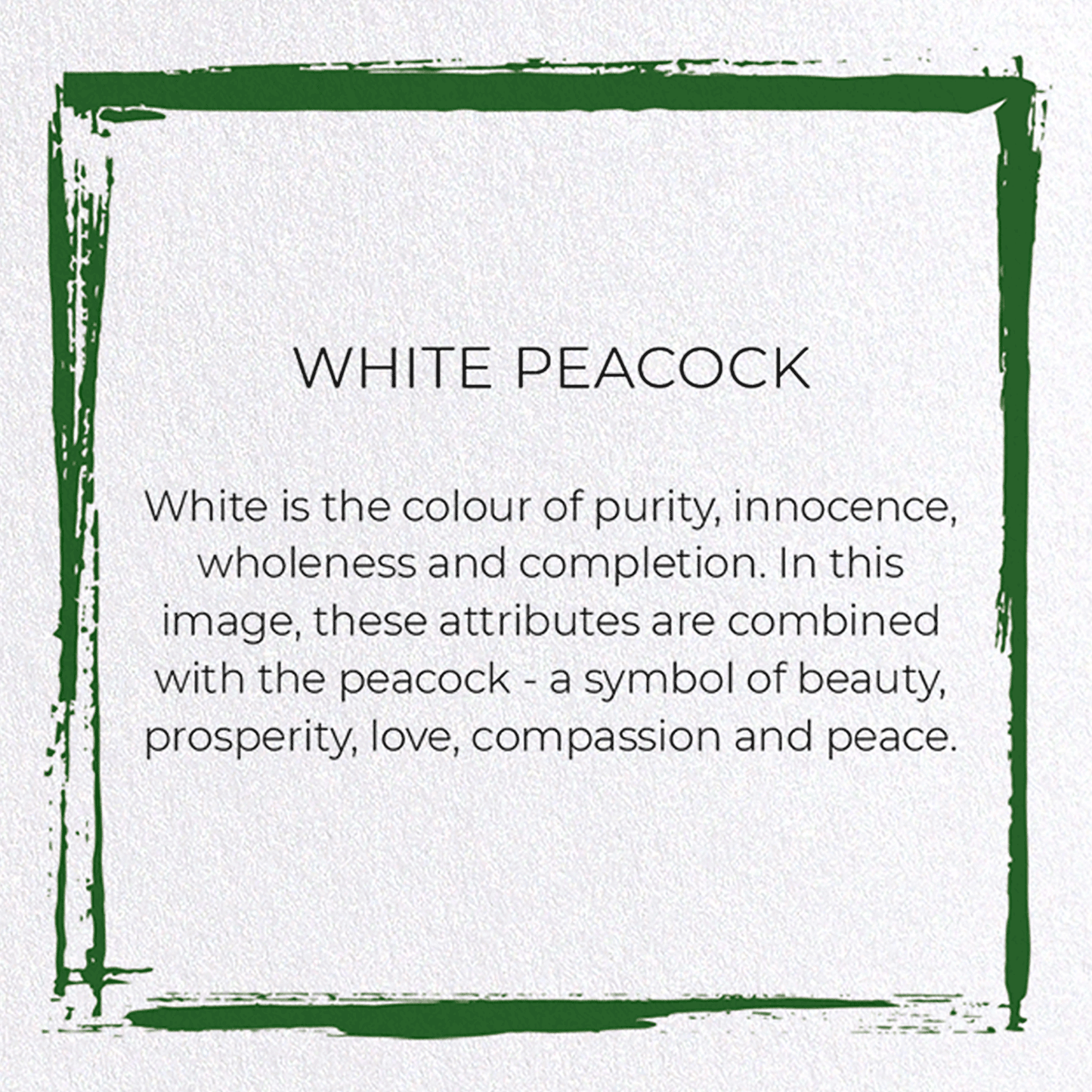 WHITE PEACOCK: Japanese Greeting Card