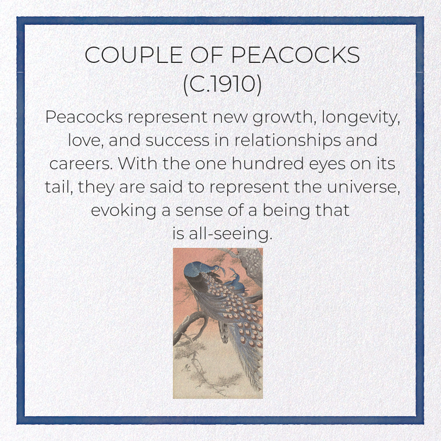 COUPLE OF PEACOCKS (C.1910): Japanese Greeting Card