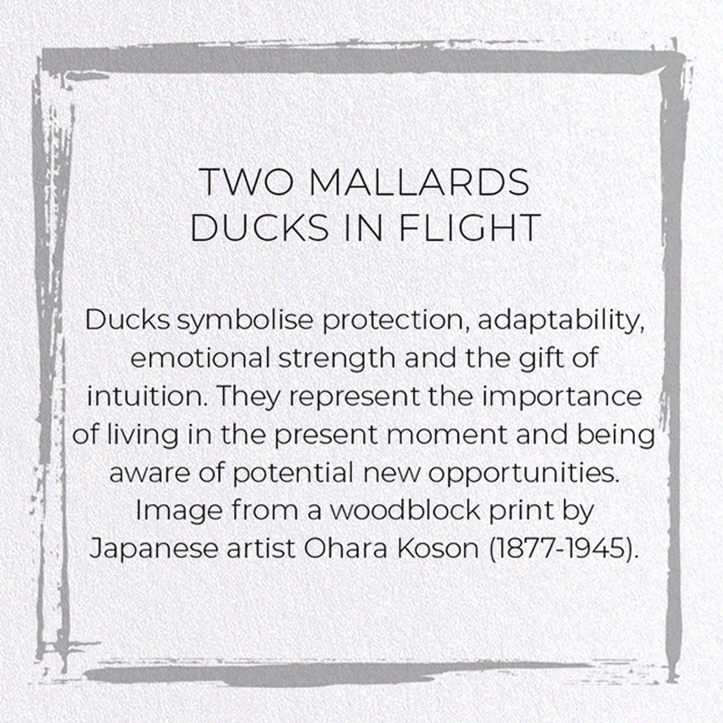 TWO MALLARDS DUCKS IN FLIGHT: Japanese Greeting Card