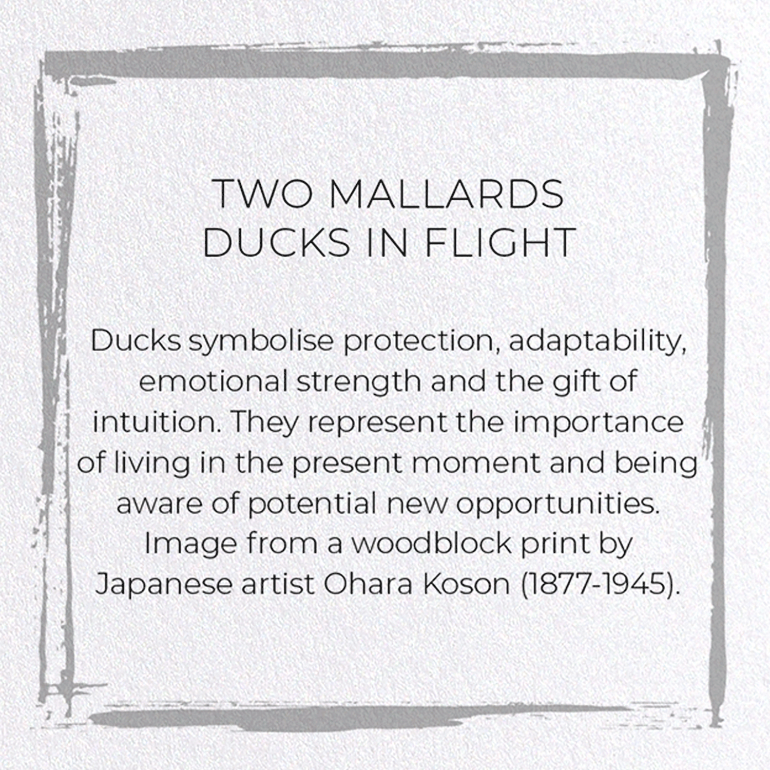 TWO MALLARDS DUCKS IN FLIGHT: Japanese Greeting Card
