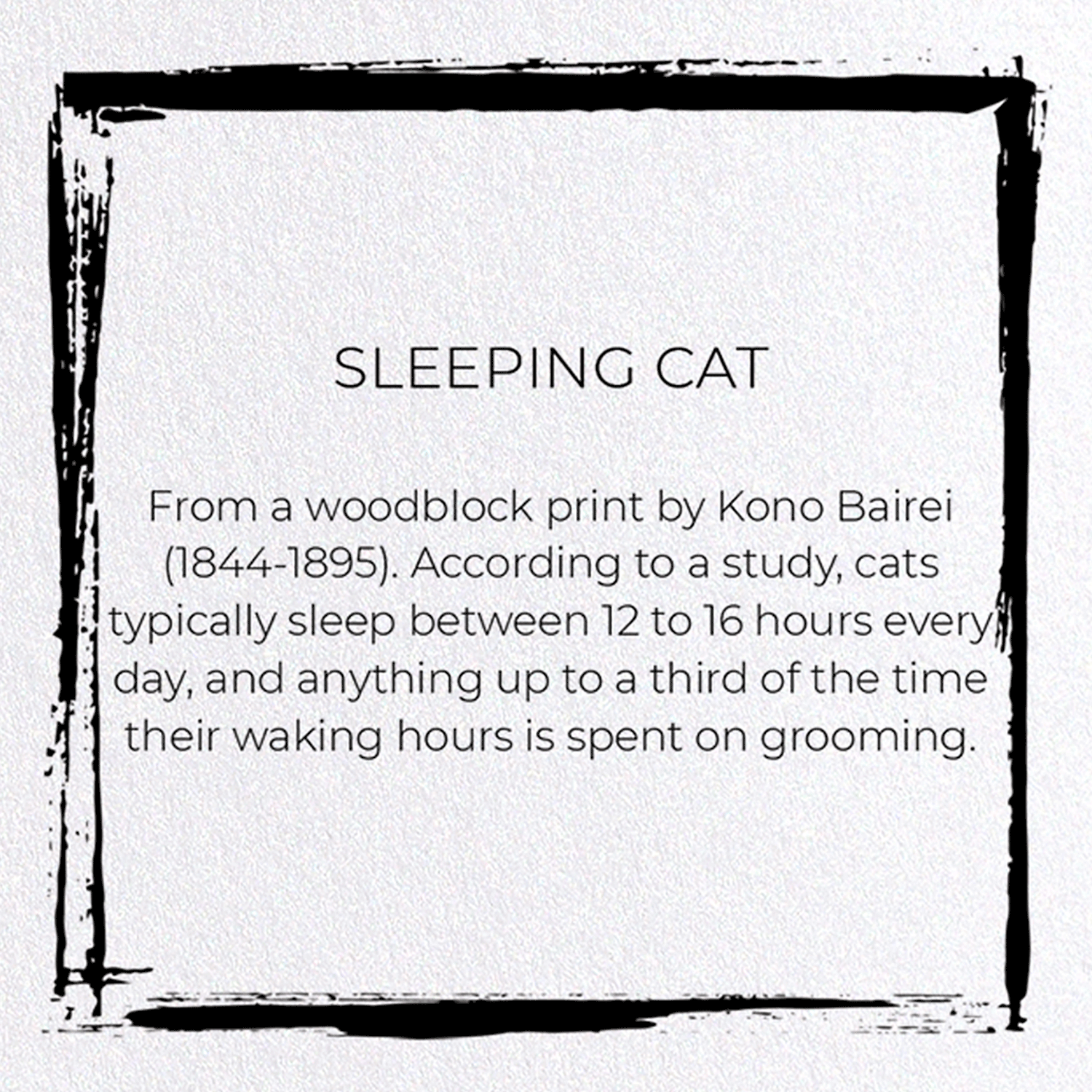SLEEPING CAT: Japanese Greeting Card