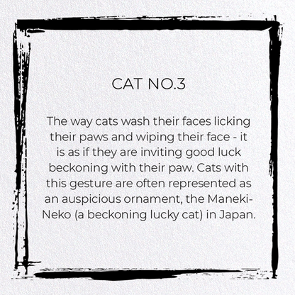 CAT NO.3: Japanese Greeting Card