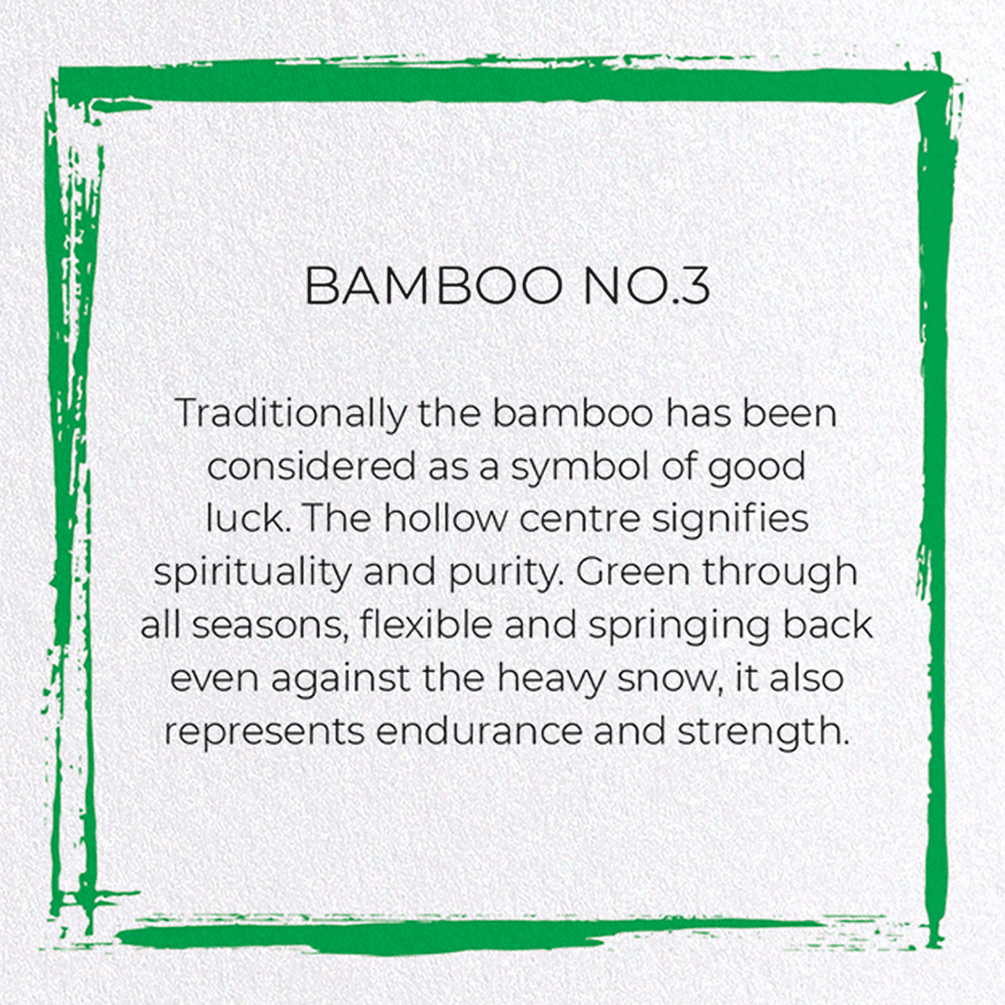 BAMBOO NO.3: Japanese Greeting Card