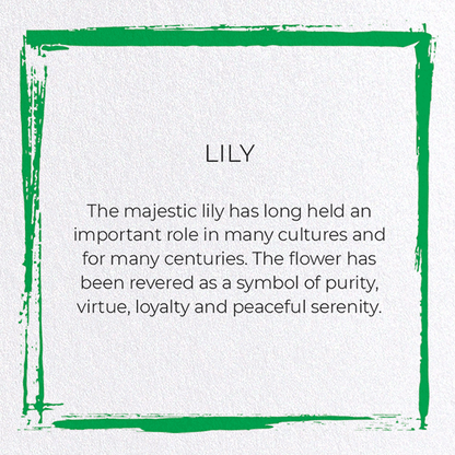 LILY: Japanese Greeting Card