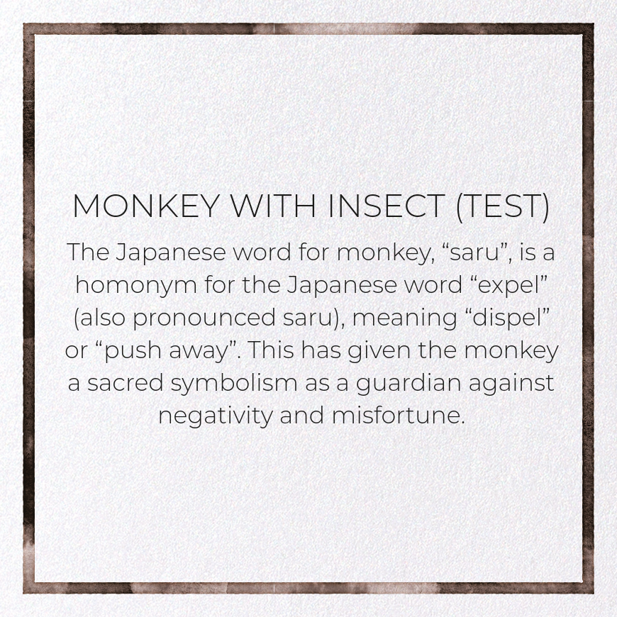 MONKEY WITH INSECT (TEST): Japanese Greeting Card
