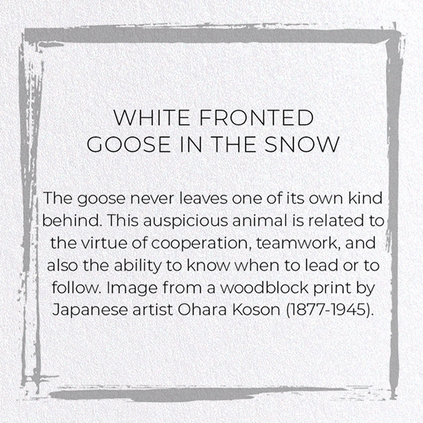 WHITE FRONTED GOOSE IN THE SNOW: Japanese Greeting Card