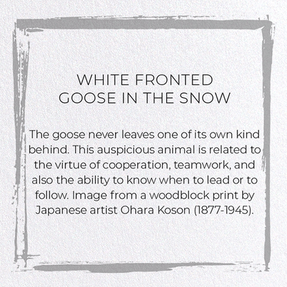 WHITE FRONTED GOOSE IN THE SNOW: Japanese Greeting Card
