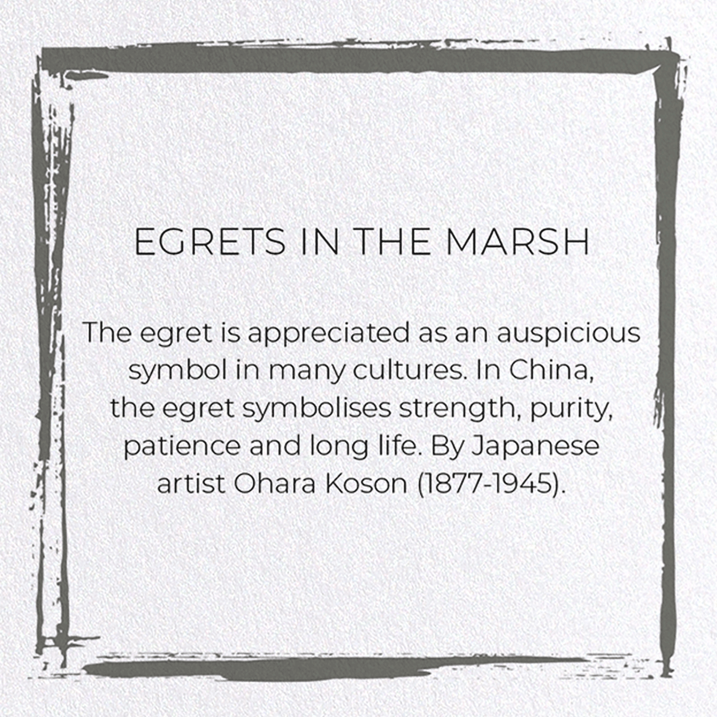 EGRETS IN THE MARSH: Japanese Greeting Card