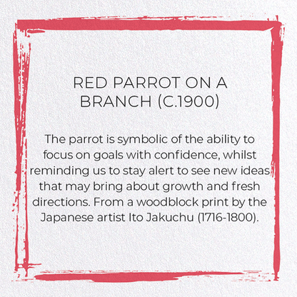 RED PARROT ON A BRANCH (C.1900): Japanese Greeting Card
